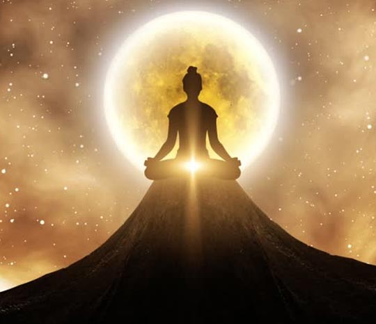 Reiki Therapist